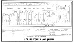 Tesla 2800b Schematic